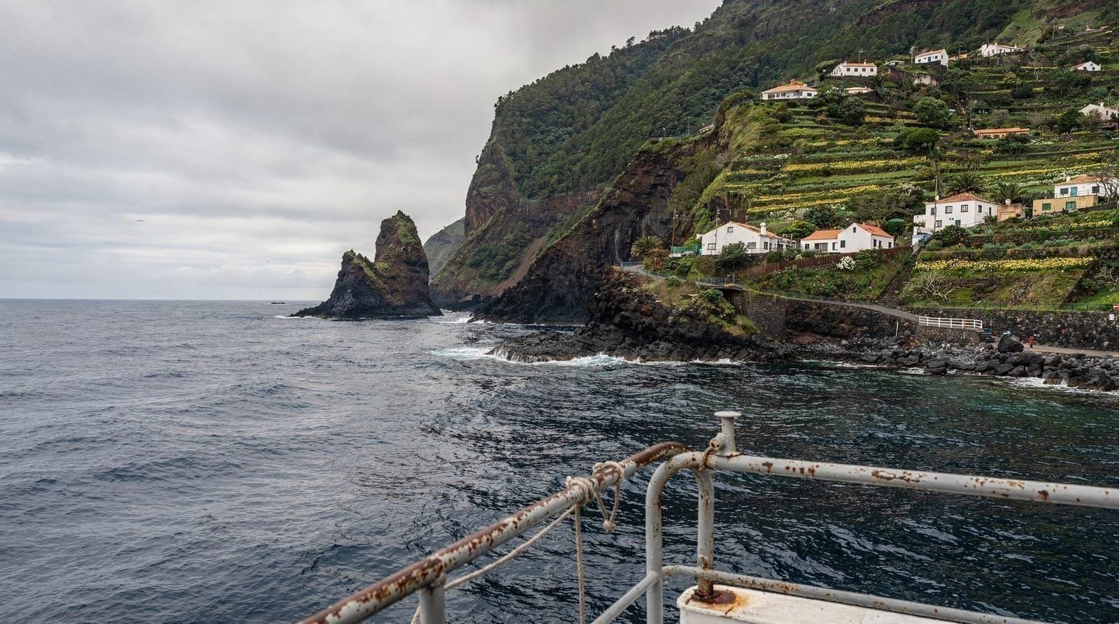 The Whale-Watching Trip Where We Saw Nothing