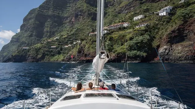 Boat trips