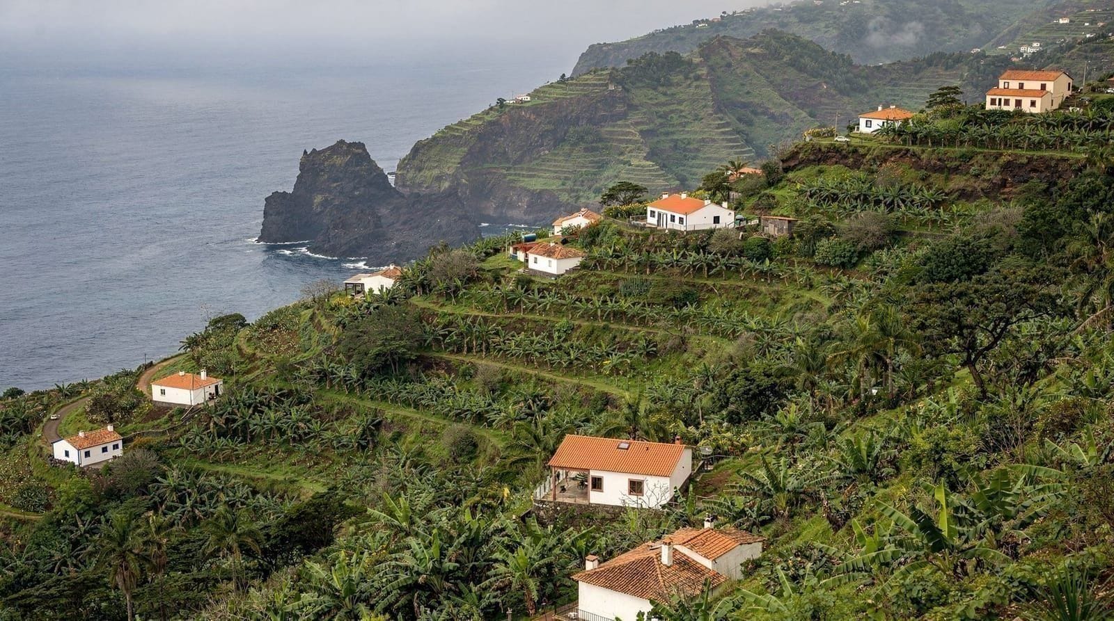 Canhas & the Ponta do Sol Uplands