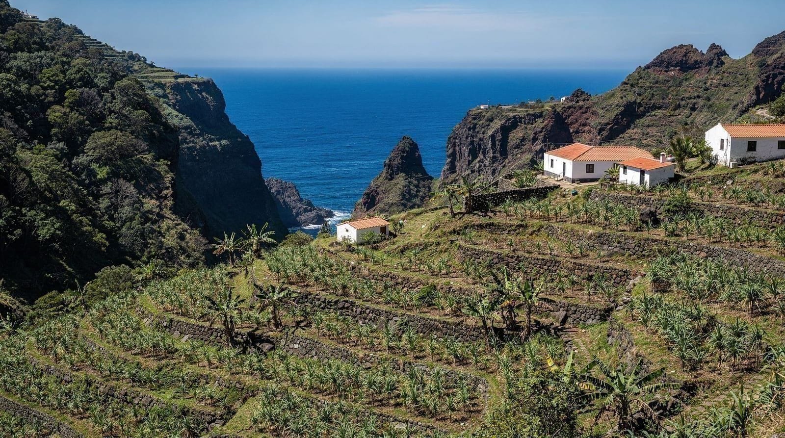Estreito da Calheta: Terraces Above the Coast