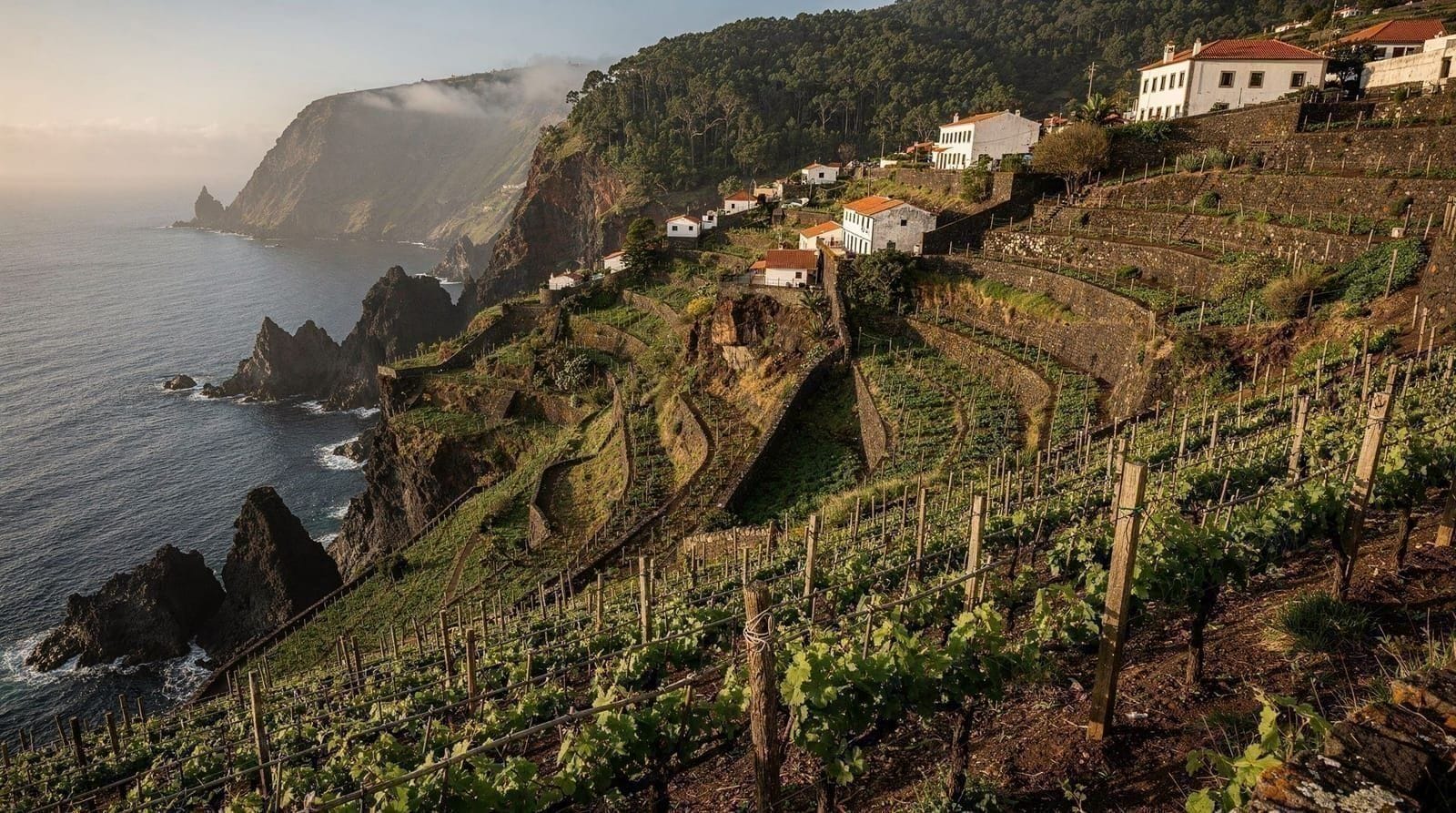 Estreito de Câmara de Lobos: The Village Above the Vines