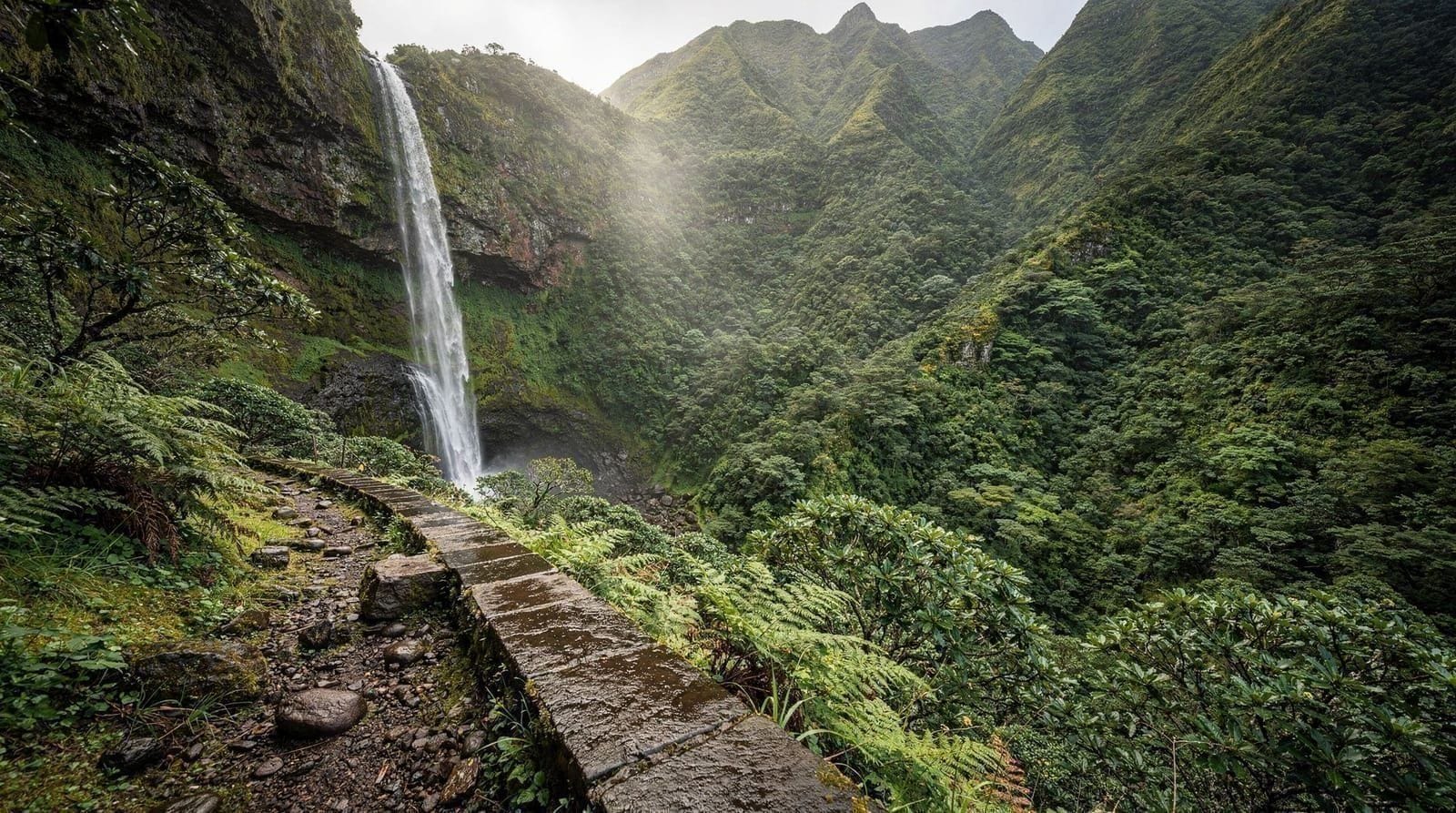 The Levada do Risco & 25 Fontes: Rabaçal's Shuttle-Only Trail
