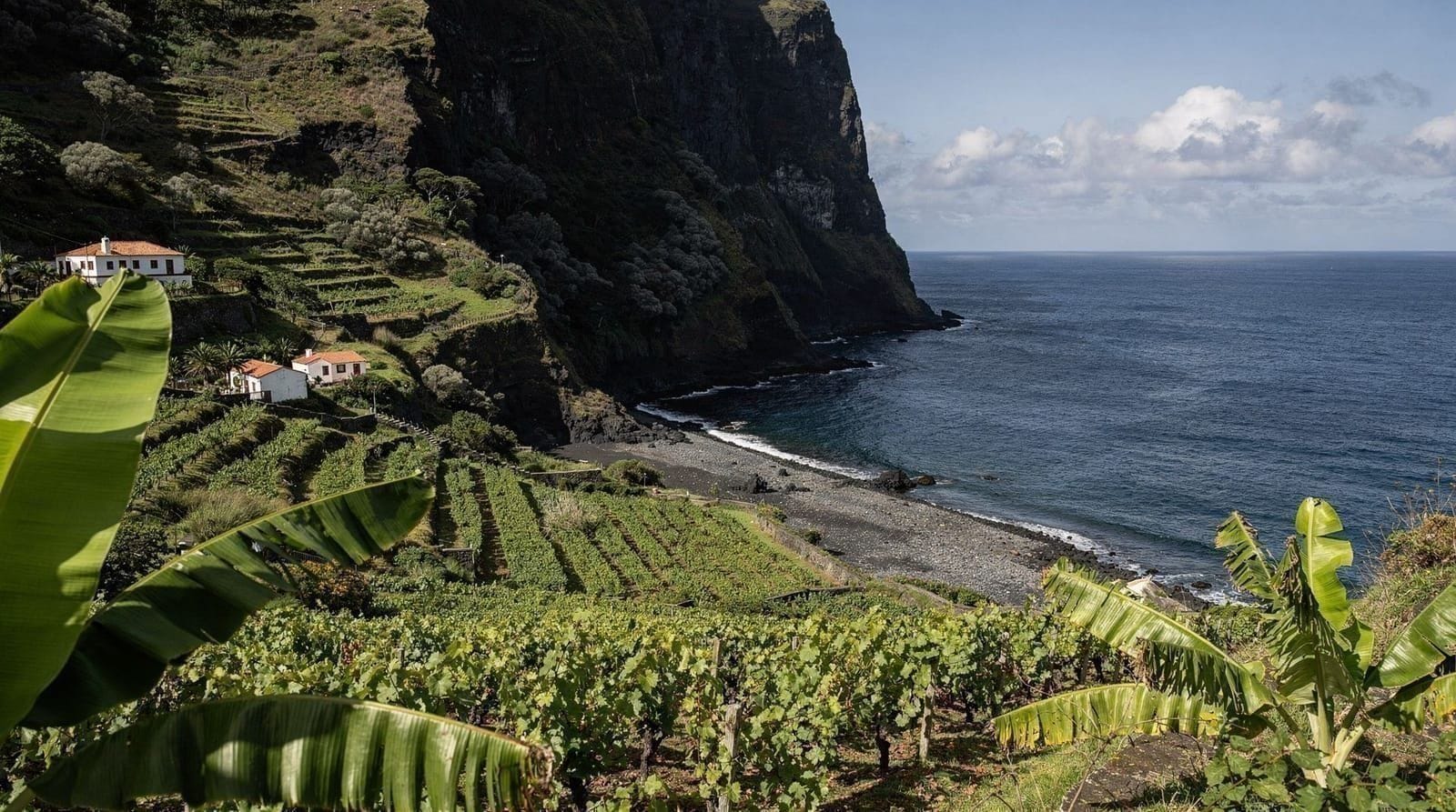Quinta Grande & Fajã dos Padres