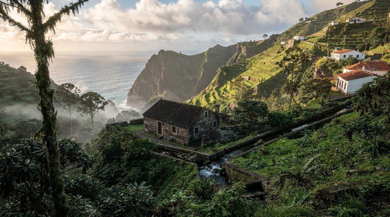 The Best Levada Walks in Madeira, Compared