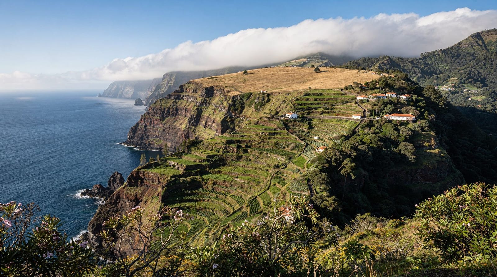 When to Visit Madeira: A Season-by-Season Guide