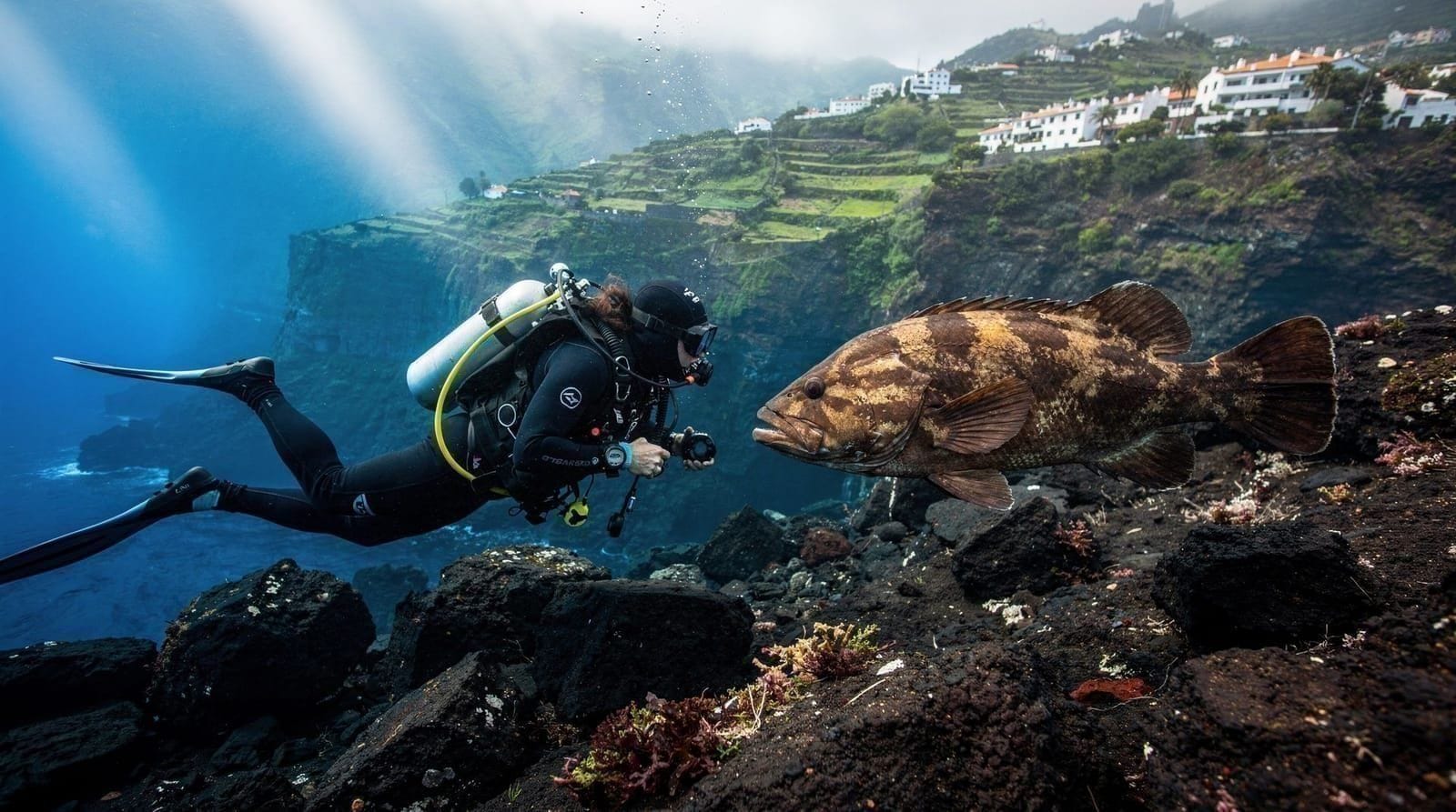 Diving in Madeira: Garajau and Canico de Baixo