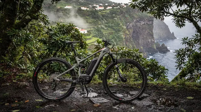 E-Bike Tours in Madeira: Camacha's Gentler Route to the Hills