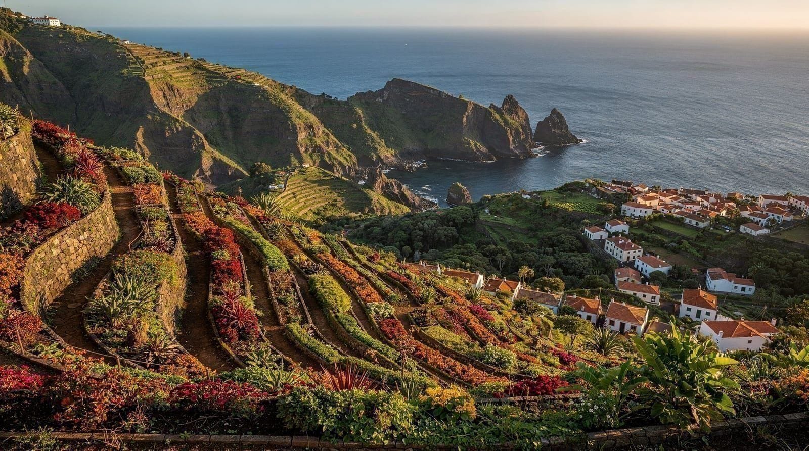 Madeira's Gardens: Botanical Garden vs Quinta do Palheiro