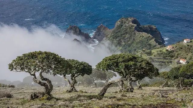 The Best Photography Spots in Madeira