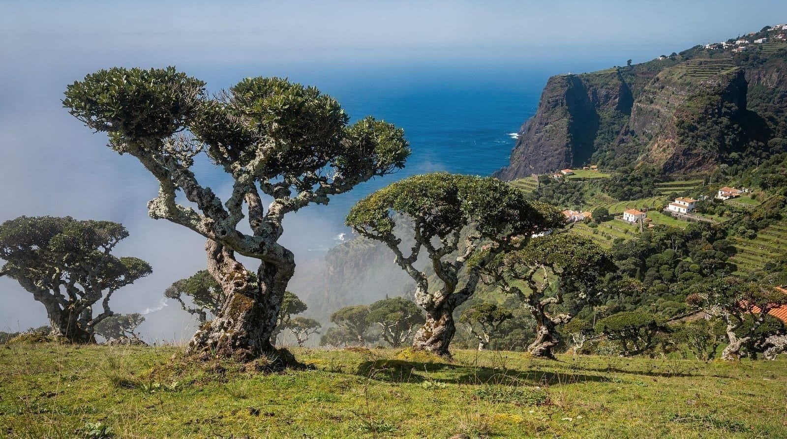 Six Days in Madeira: A Photography Itinerary